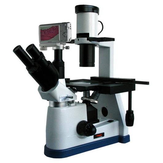 倒置生物顯微鏡BM-37XBS（數(shù)碼）