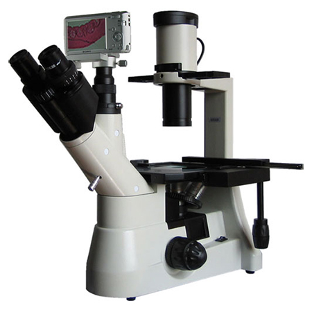 倒置生物顯微鏡BM-37XCS（數(shù)碼）